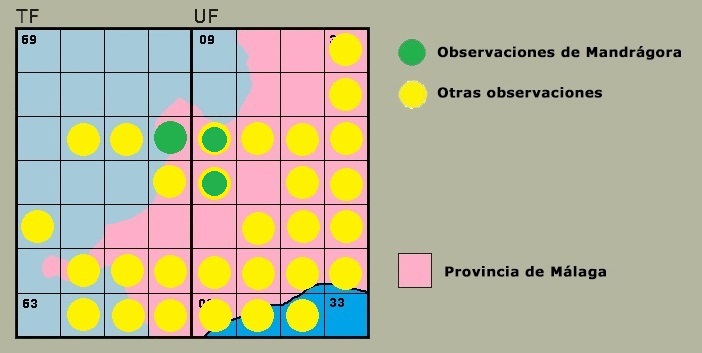 Distribución de Anax imperator en la Serranía (en proceso de elaboración).