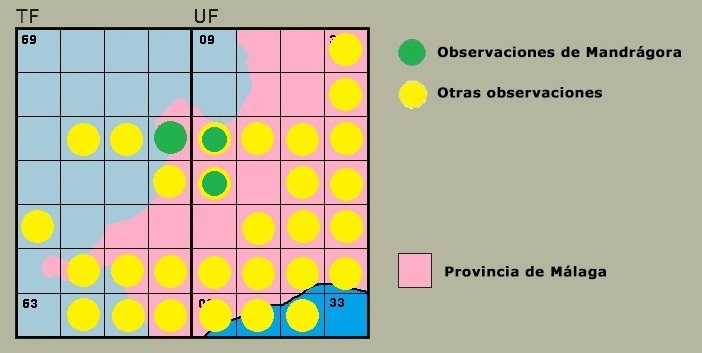 Distribucin de Anax imperator en la Serrana (en proceso de elaboracin).