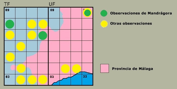 Distribucin de Brachytemis impartita en la Serrana (en proceso de elaboracin).