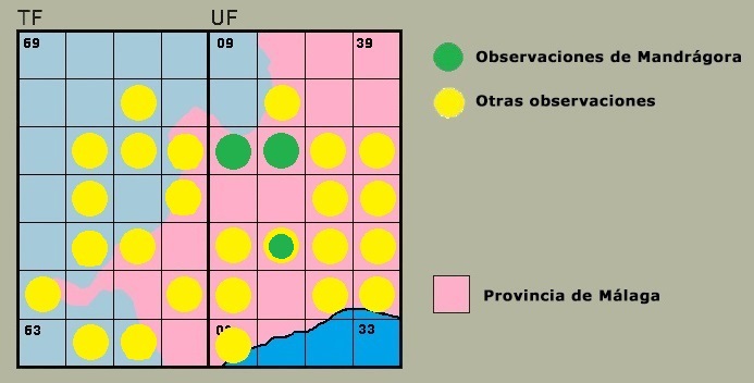 Distribucin de Cordulegaster boltonii en la Serrana