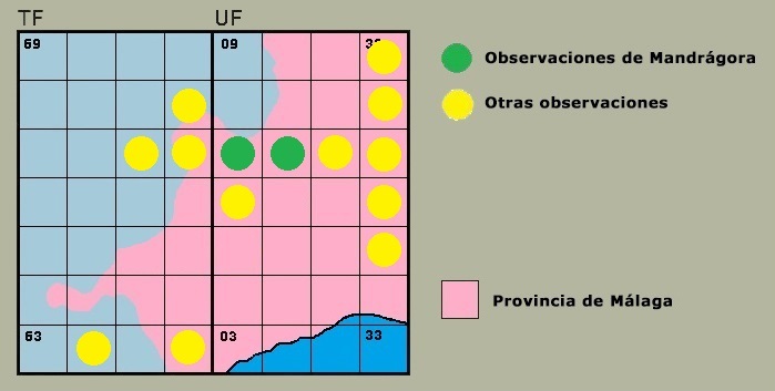 Distribucin de Orthetrum brunneum en la Serrana