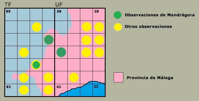 Distribucin de Orthetrum coerulescens en la Serrana