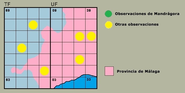 Distribucin de Calopteryx xanthostoma en la Serrana