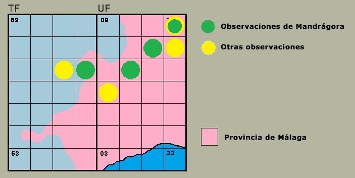 Distribucin de Enallegama cyathigerum en la Serrana