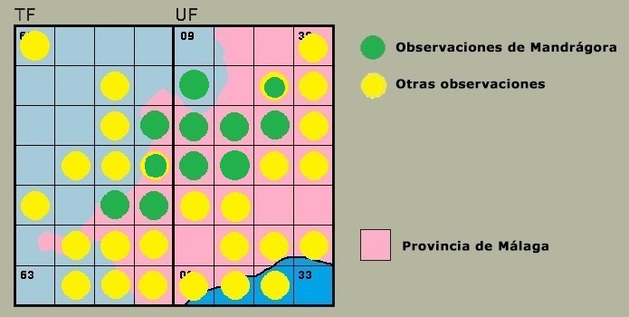 Distribucin de Ischnura graellsii en la Serrana