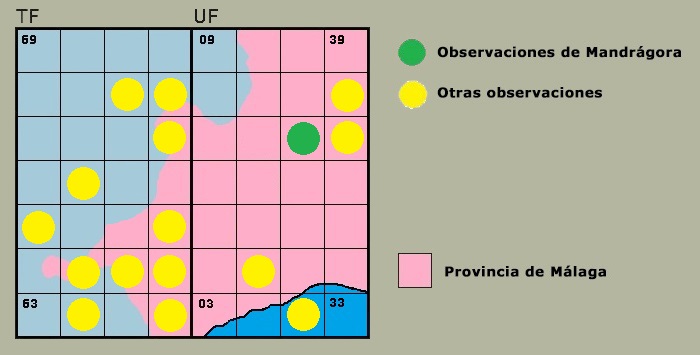 Distribucin de Plactynemis acutipennis en la Serrana