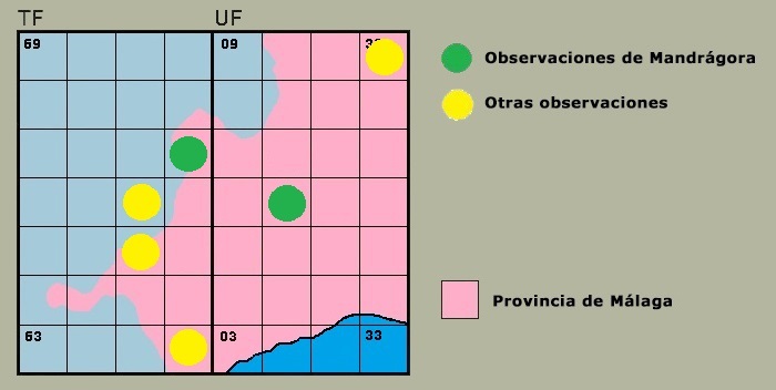 Distribución de Lestes barbarus en la Serranía