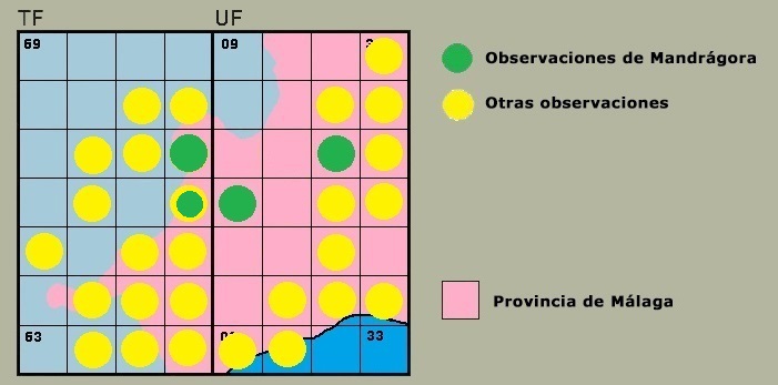 Distribución de Plactynemis latipes en la Serranía