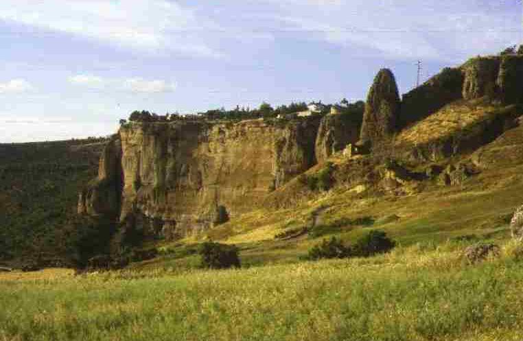 Paisajes mandragorinos