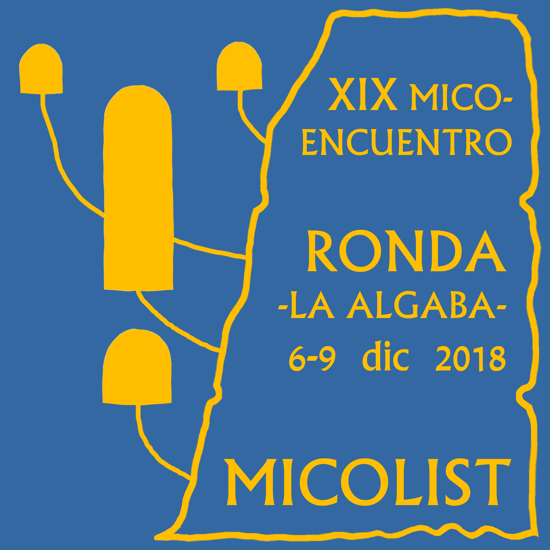 XIX MICOENCUENTRO